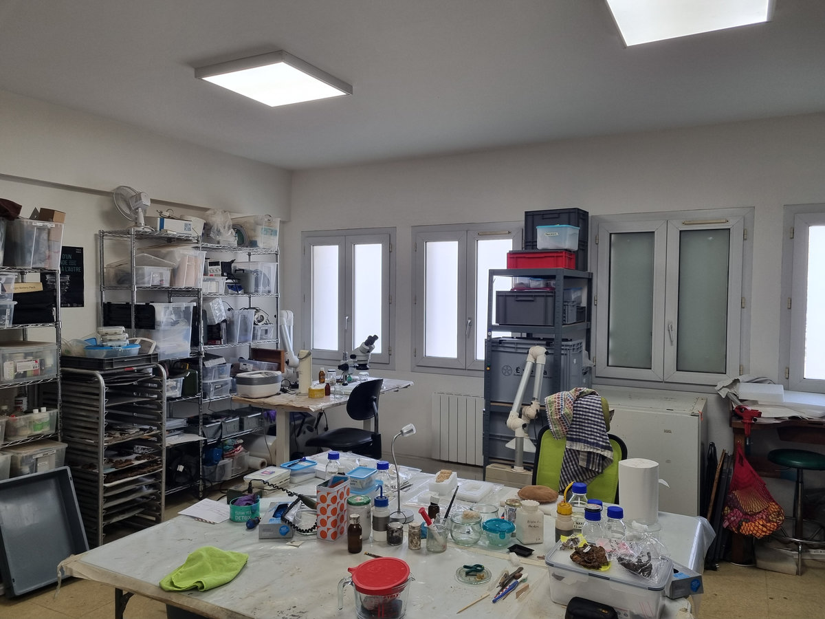 Antepostquem : conservation-restauration d’objets archéologiques